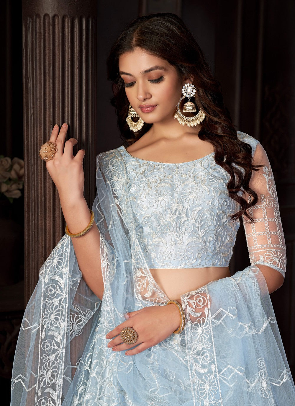 Embroidered Net A - Line Lehenga - L1197