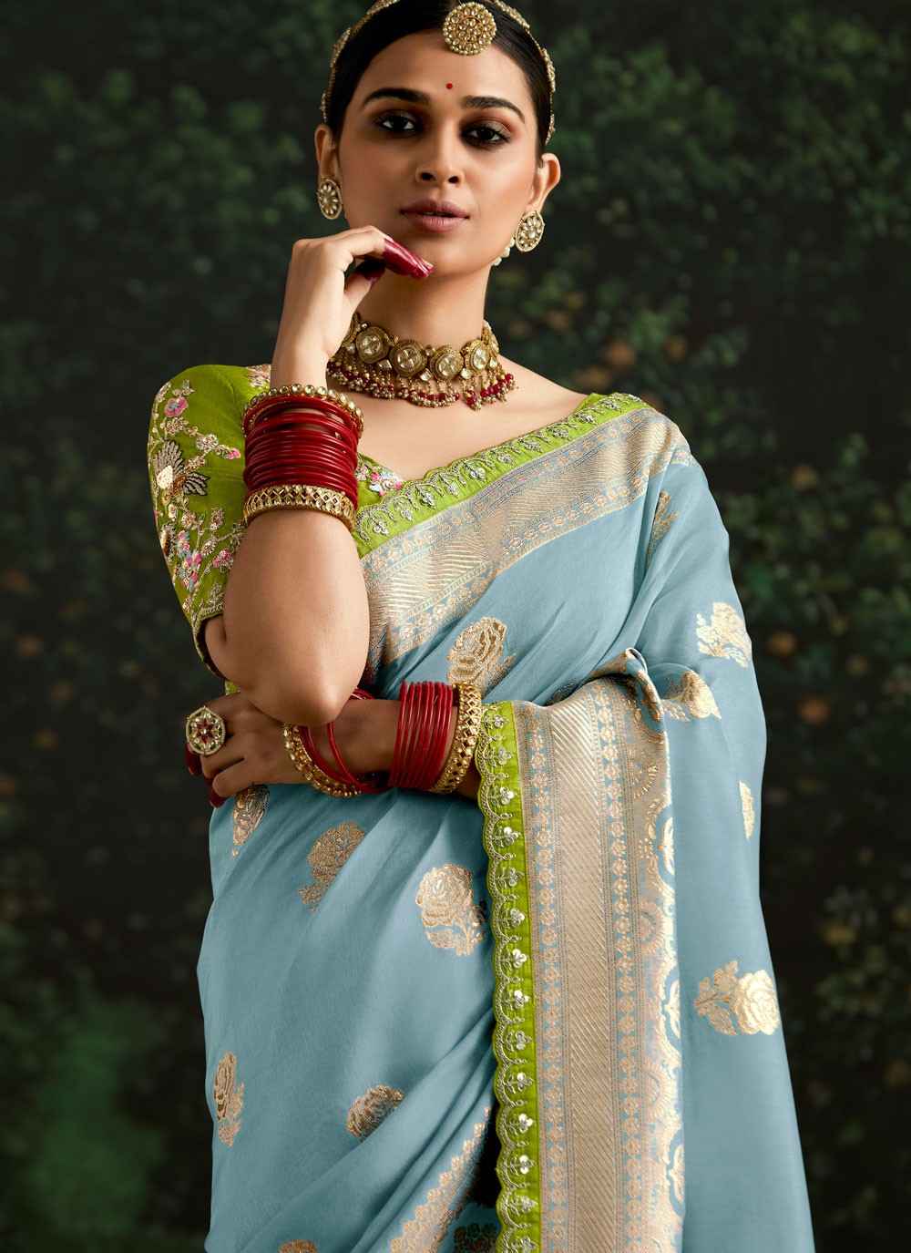 Classic Border Work Pure Dola Saree - S9686