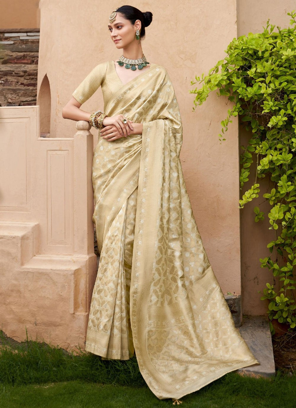 Classic Jaal Banarasi Silk Saree - S9970