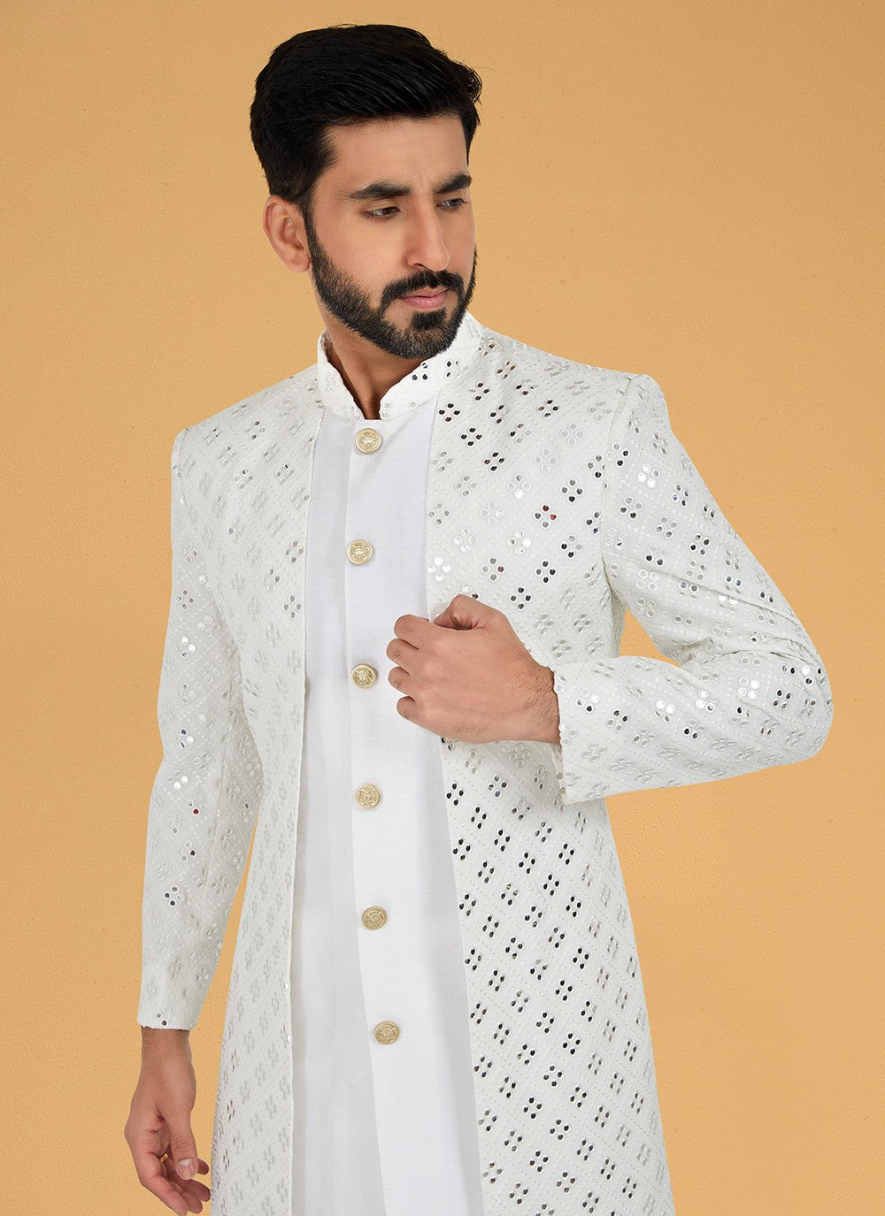 Embroidered Banarasi Silk, Georgette White Indo Western - M4997