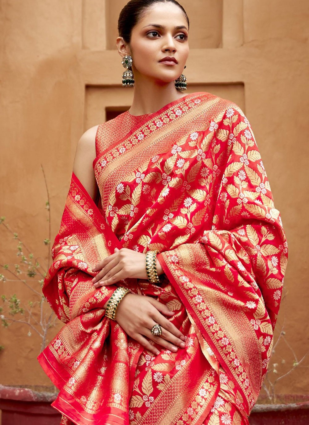 Classic Jaal Banarasi Silk Saree - S9970