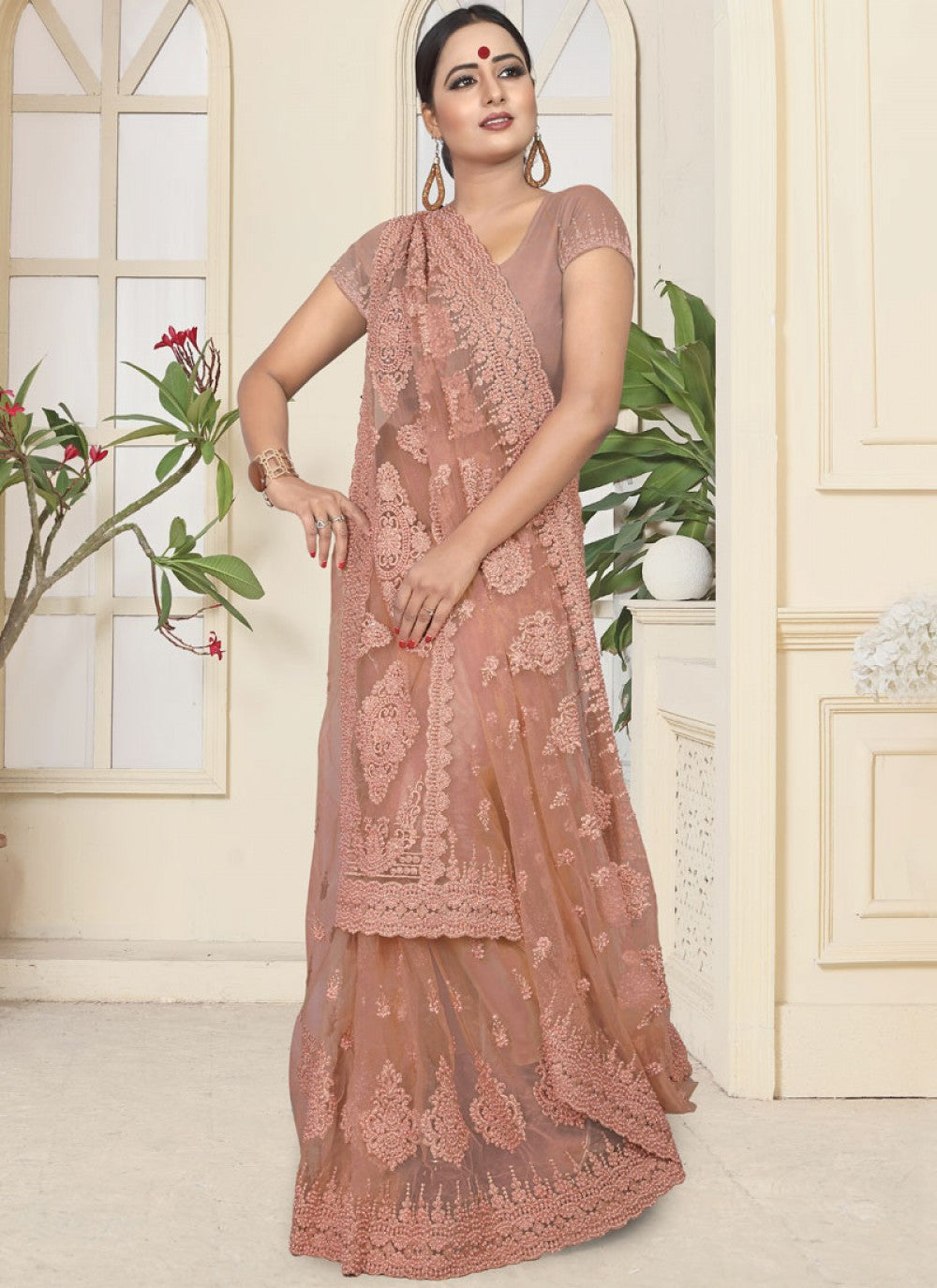 Classic Embroidered Net Saree - S0110