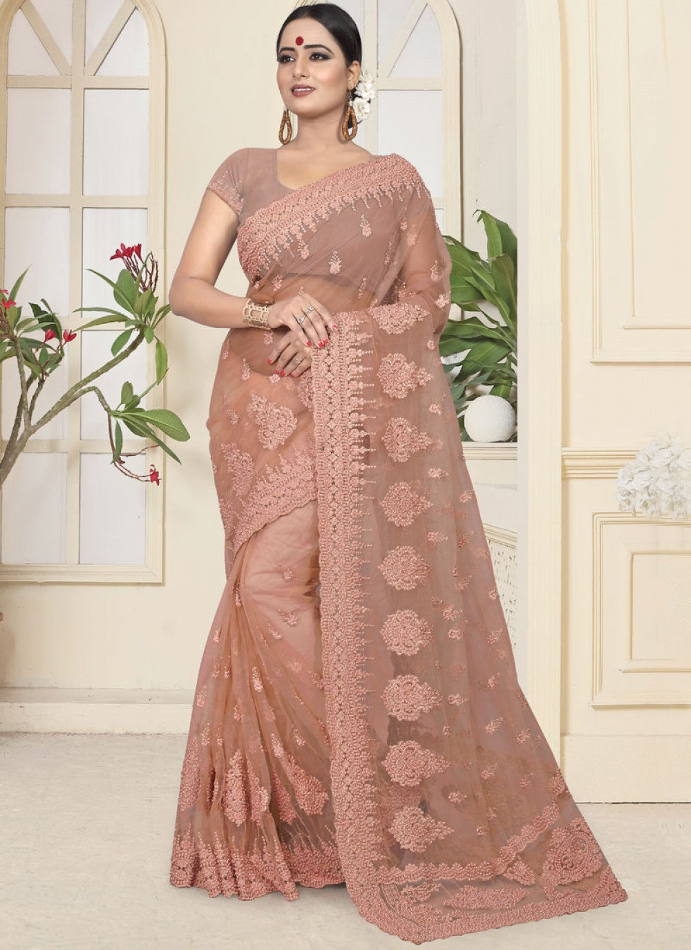 Classic Embroidered Net Saree - S0110