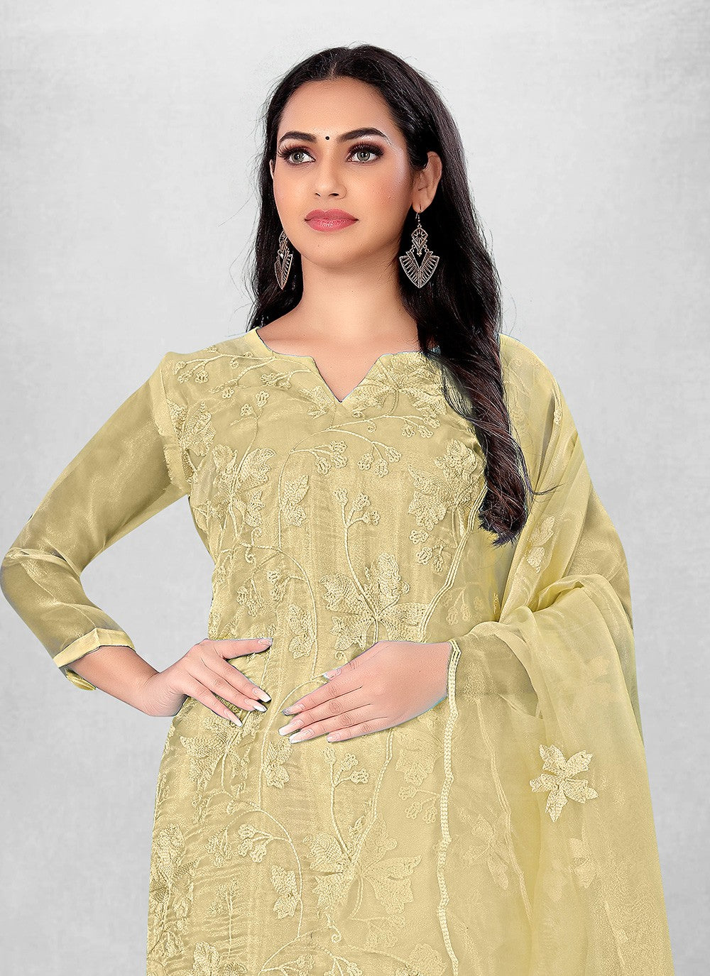 Organza Churidar Suit - T1822