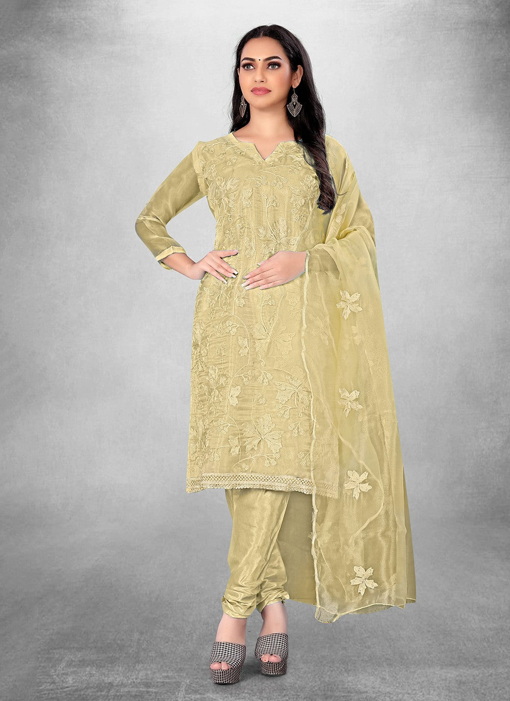 Organza Churidar Suit - T1822