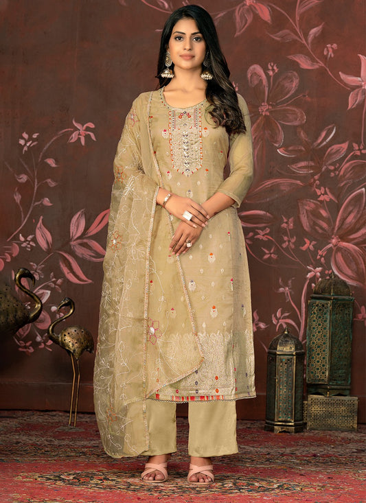 Organza Salwar Suit - T2047