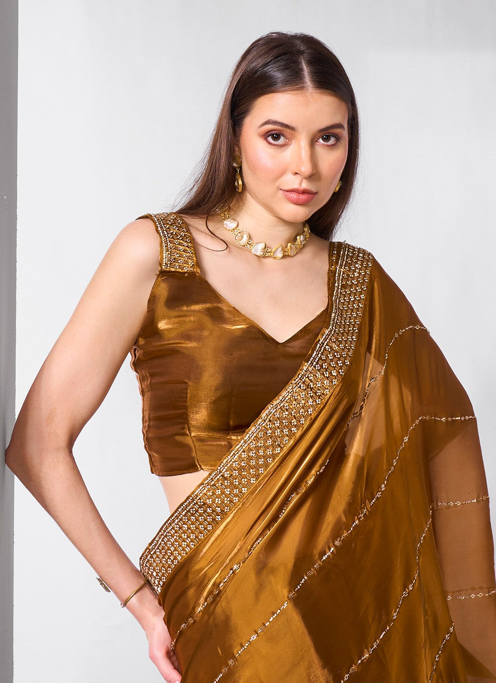 Classic Embroidered Net, Tissue Peach Saree - S10847