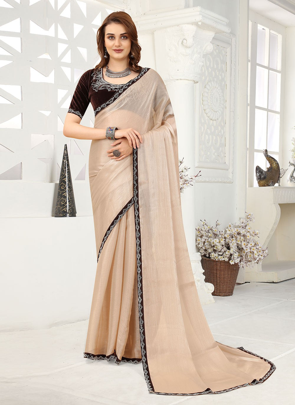 Classic Lace Organza Saree - S1634