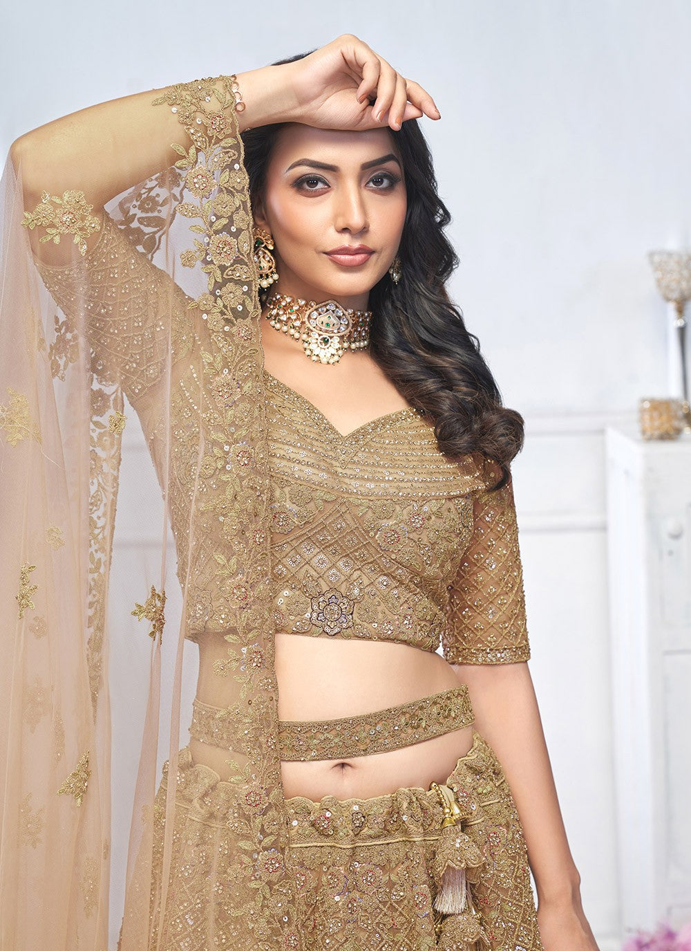 Embroidered Net Lehenga - L3176