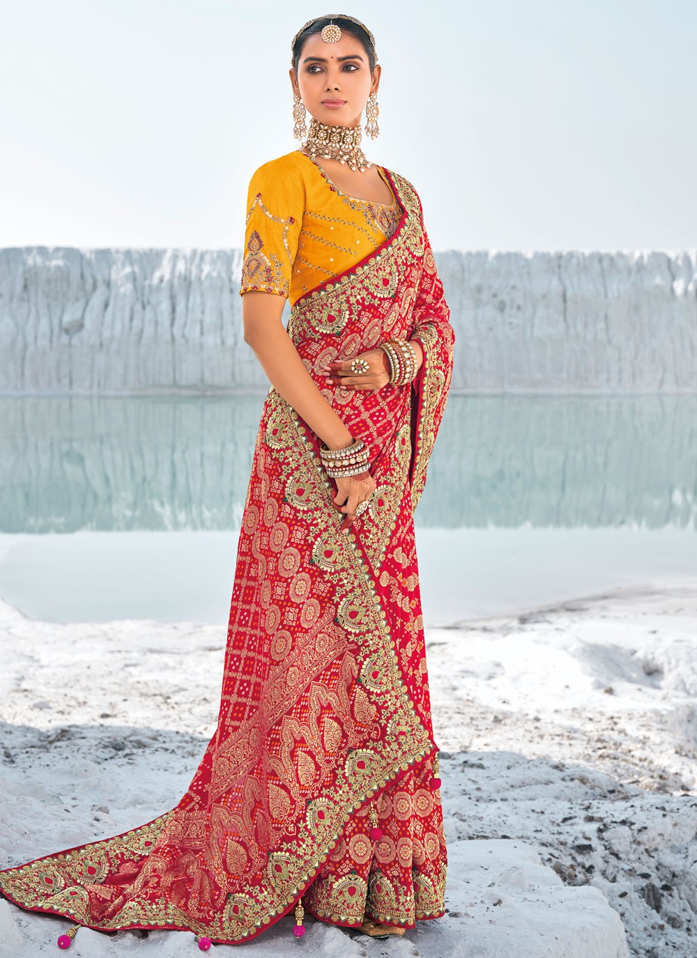 Classic Embroidered Georgette Saree - S9586