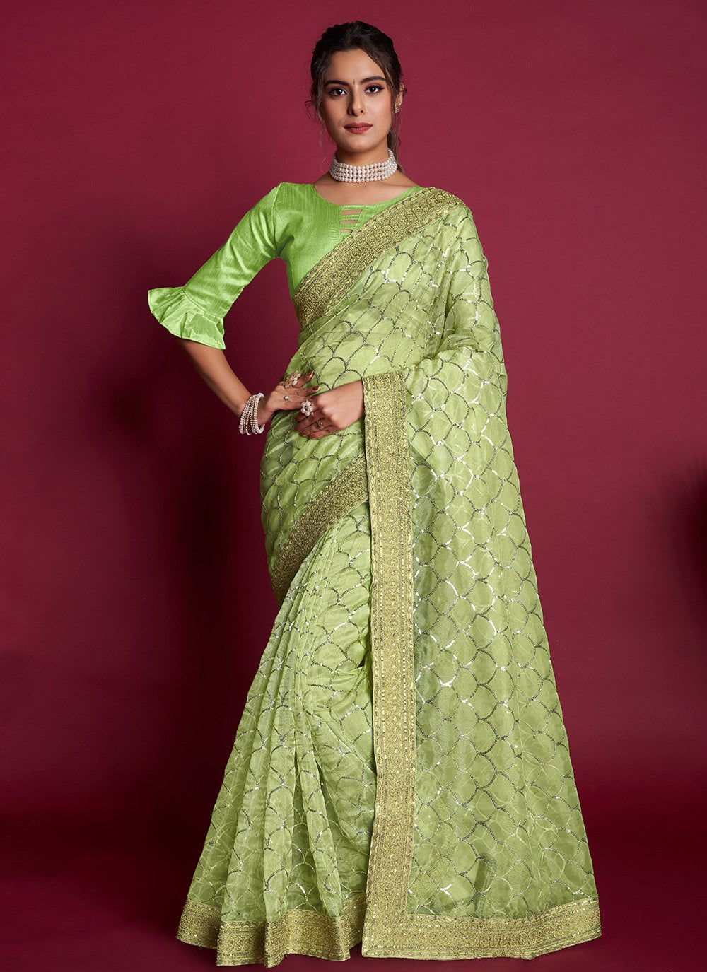 Traditional Embroidered Organza Saree - S6242