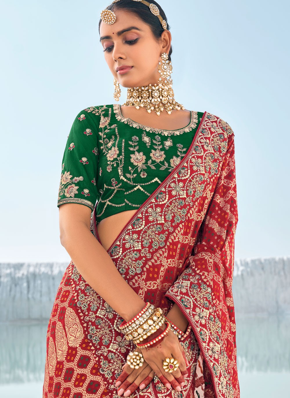 Classic Embroidered Georgette Saree - S9586