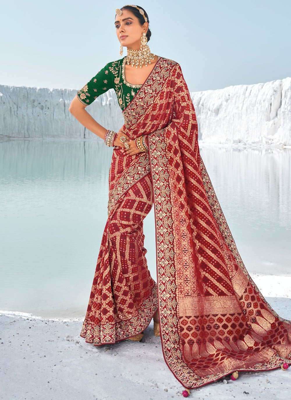 Classic Embroidered Georgette Saree - S9586