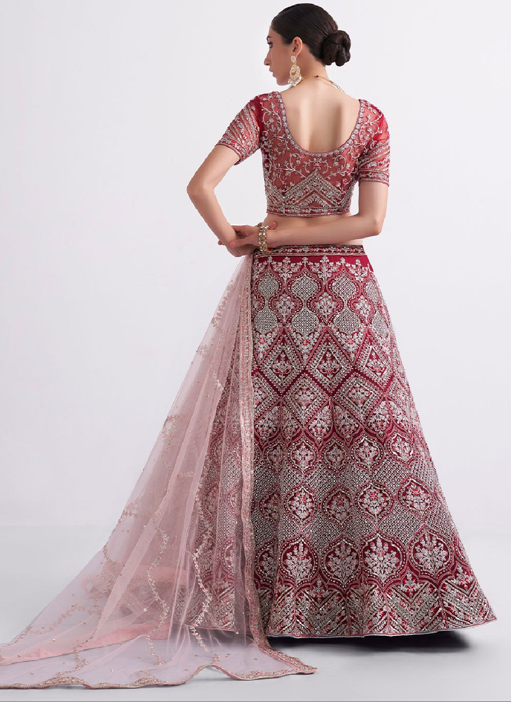 Embroidered Net A - Line Lehenga - L0808