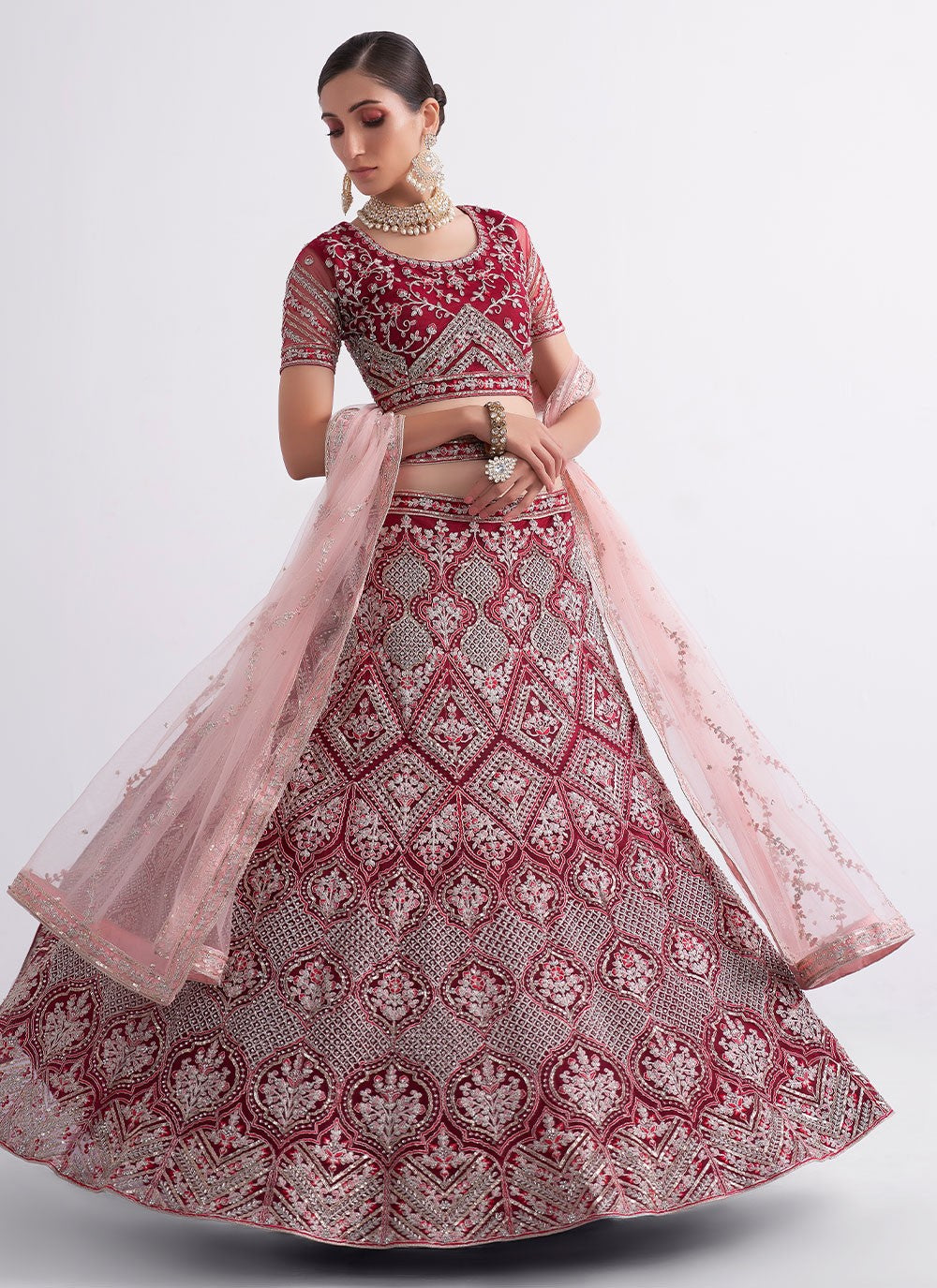 Embroidered Net A - Line Lehenga - L0808