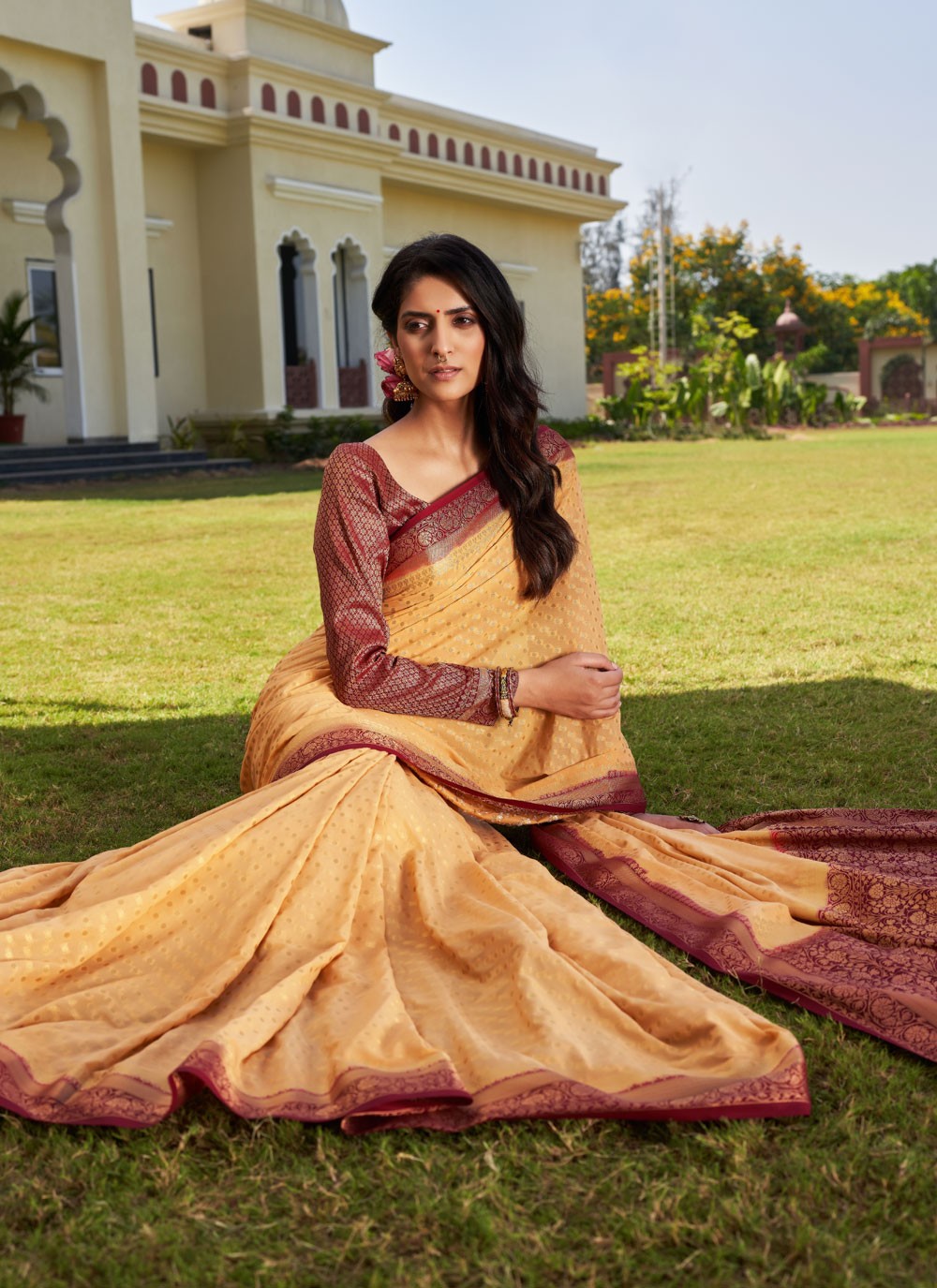 Classic Designer Georgette Saree - S3865