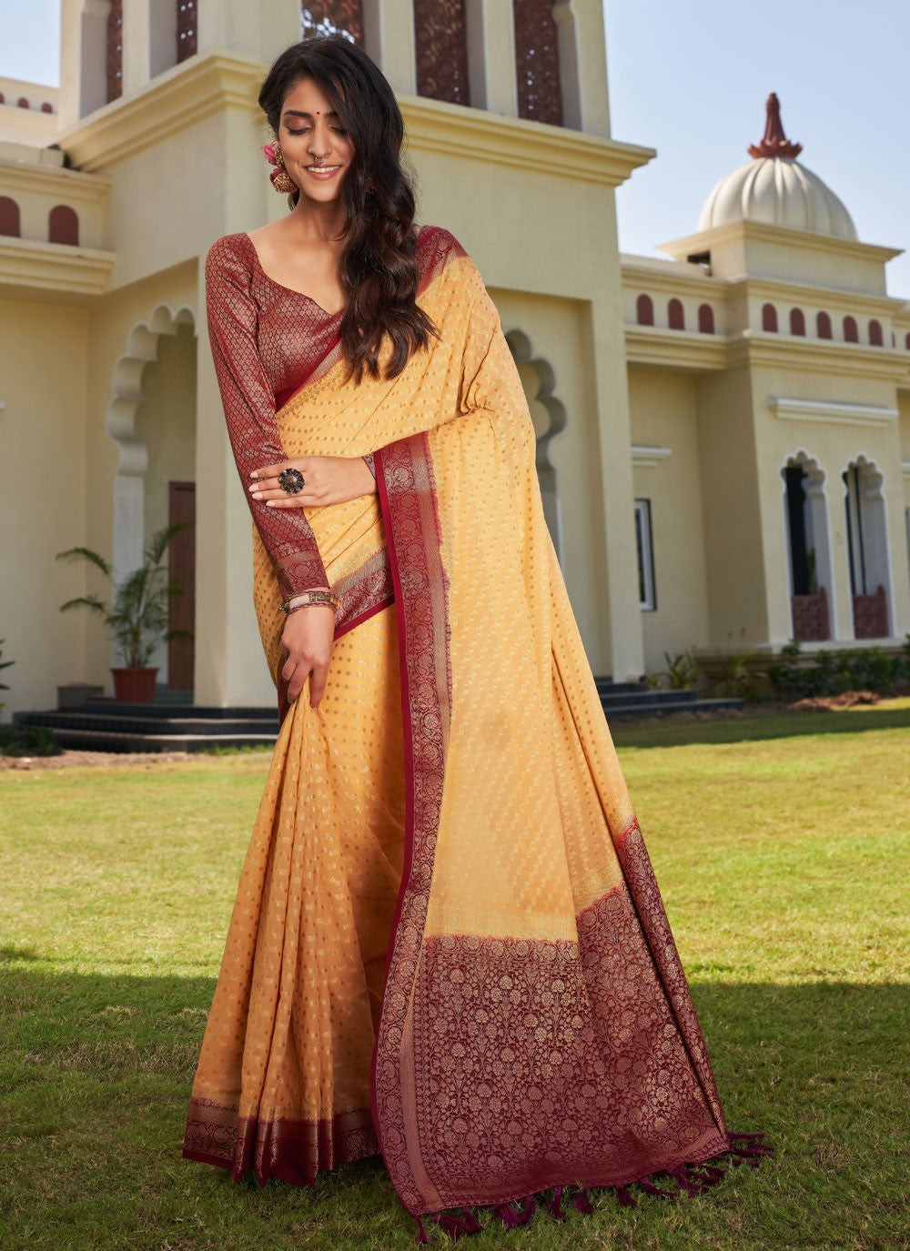 Classic Designer Georgette Saree - S3865