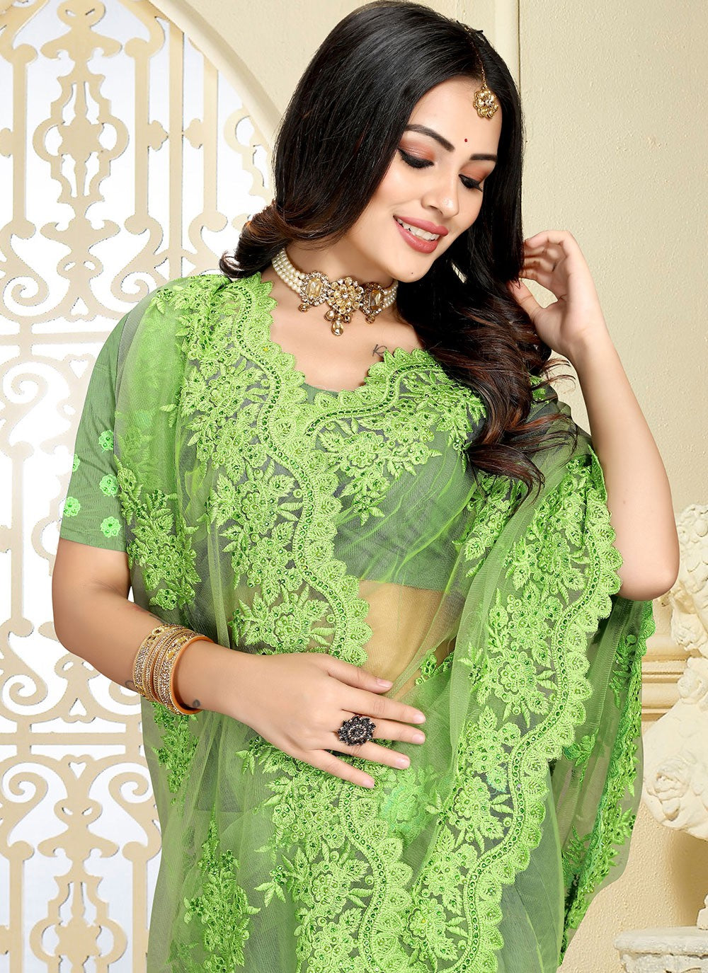 Classic Embroidered Net Saree - S2683