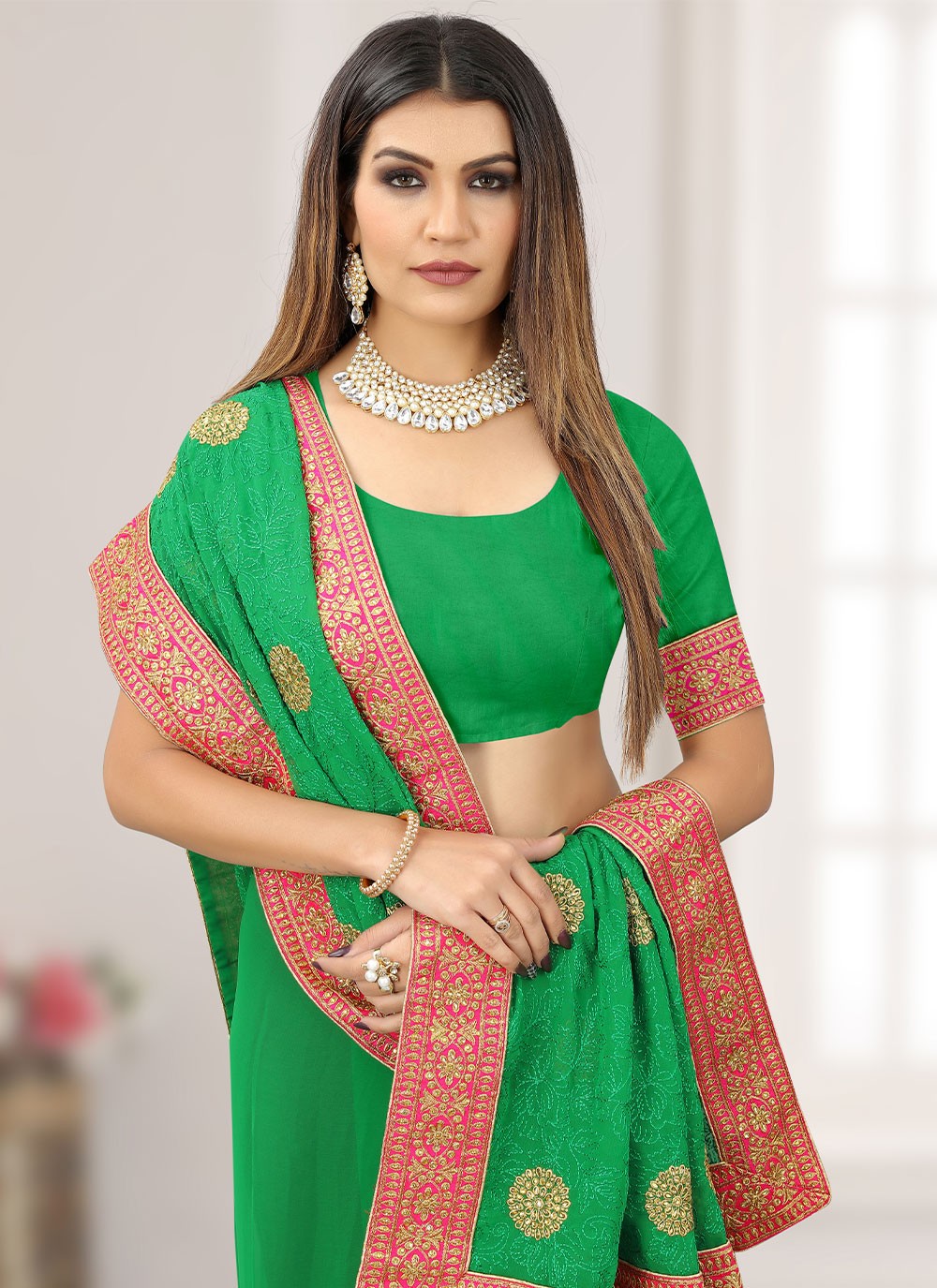 Classic Embroidered Chiffon Saree - S1643