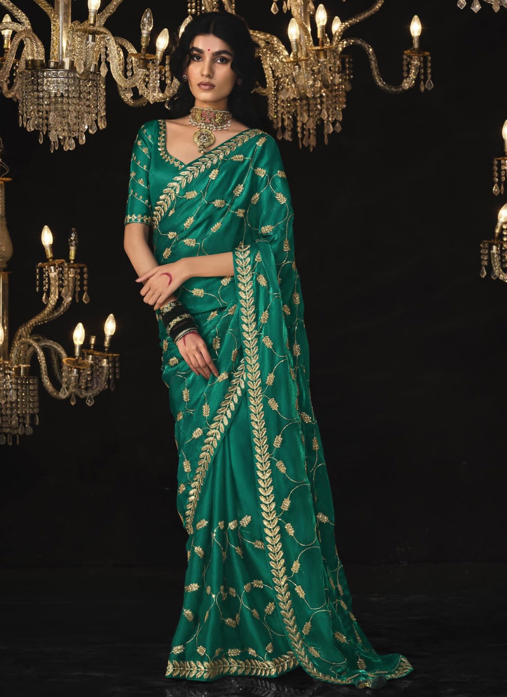 Classic Border Work Silk, Tissue Saree - S6590