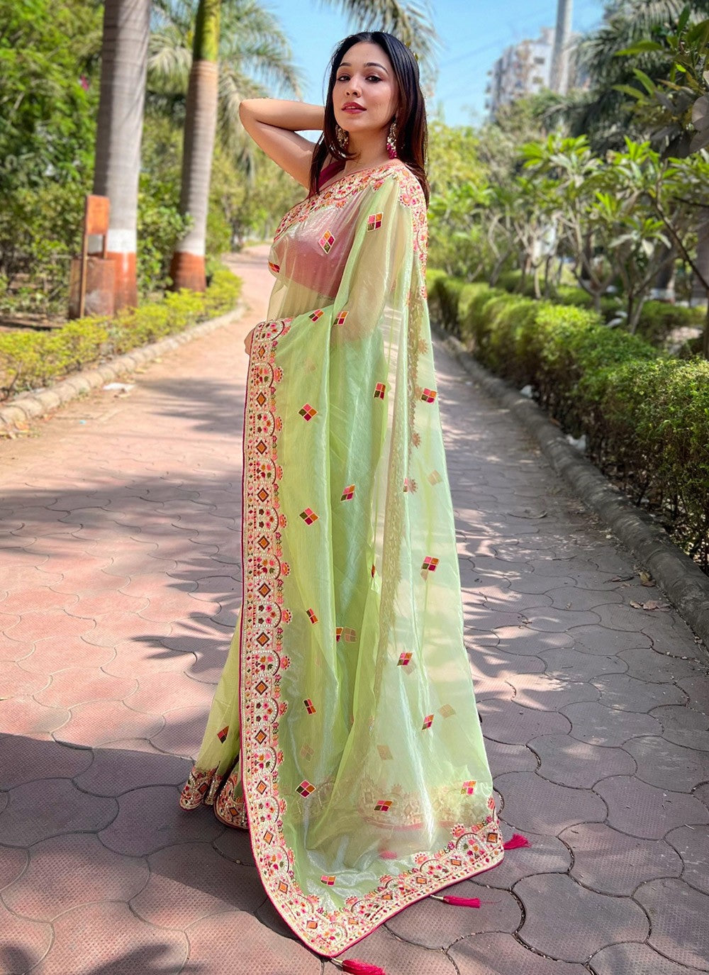 Trendy Embroidered Silk, Tissue Saree - S10602