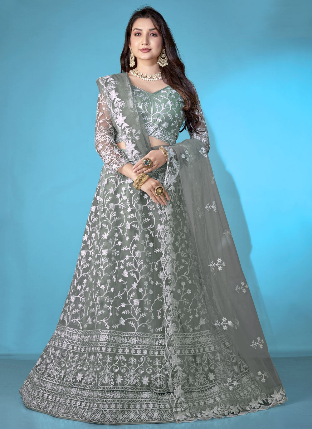 Embroidered Net A - Line Lehenga - L2345