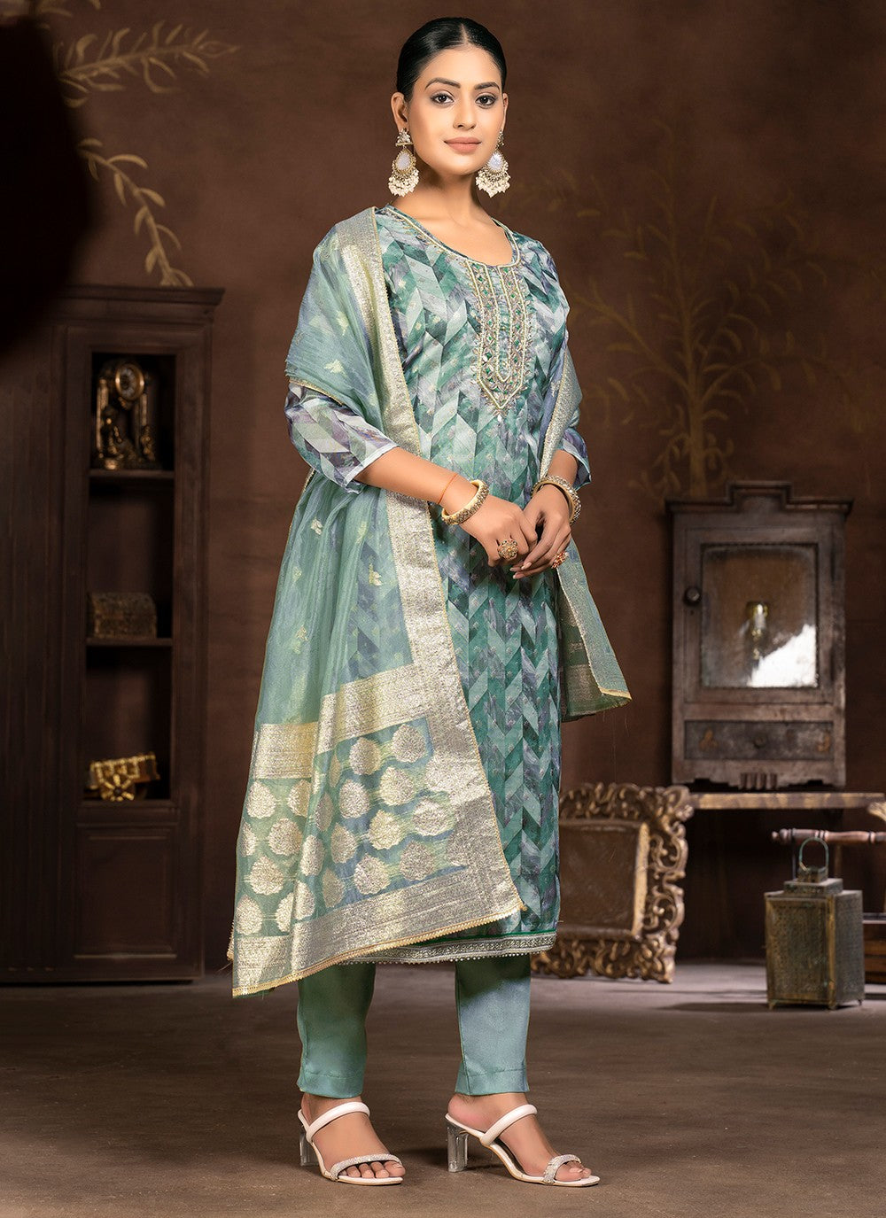 Organza Salwar Suit - T2047