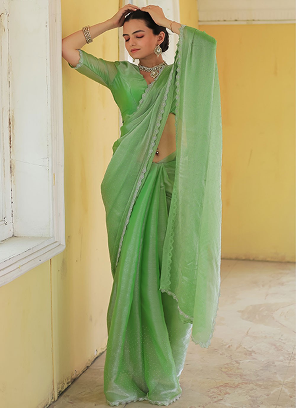 Classic Hand Embroidery Chiffon Saree - S6935