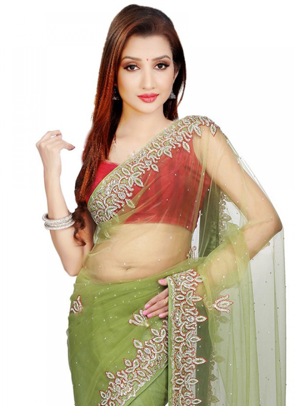 Classic Cutdana Net Saree - S1746