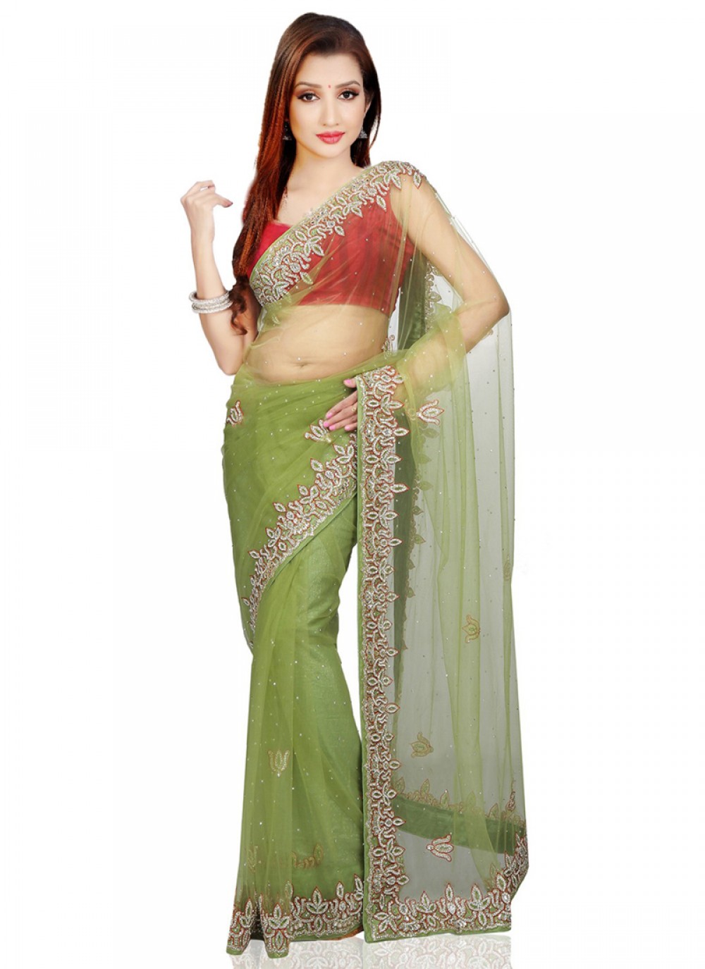 Classic Cutdana Net Saree - S1746