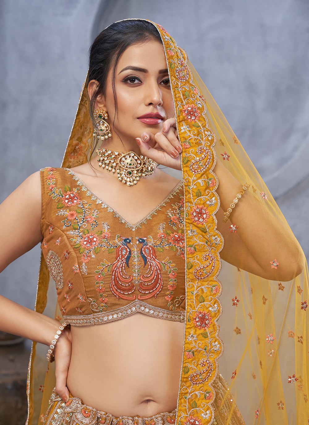 Embroidered Net Lehenga - L3176