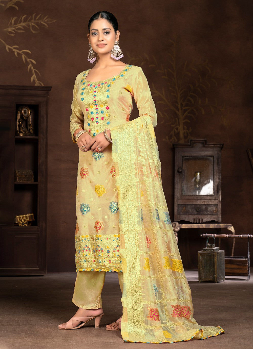 Organza Salwar Suit - T1985