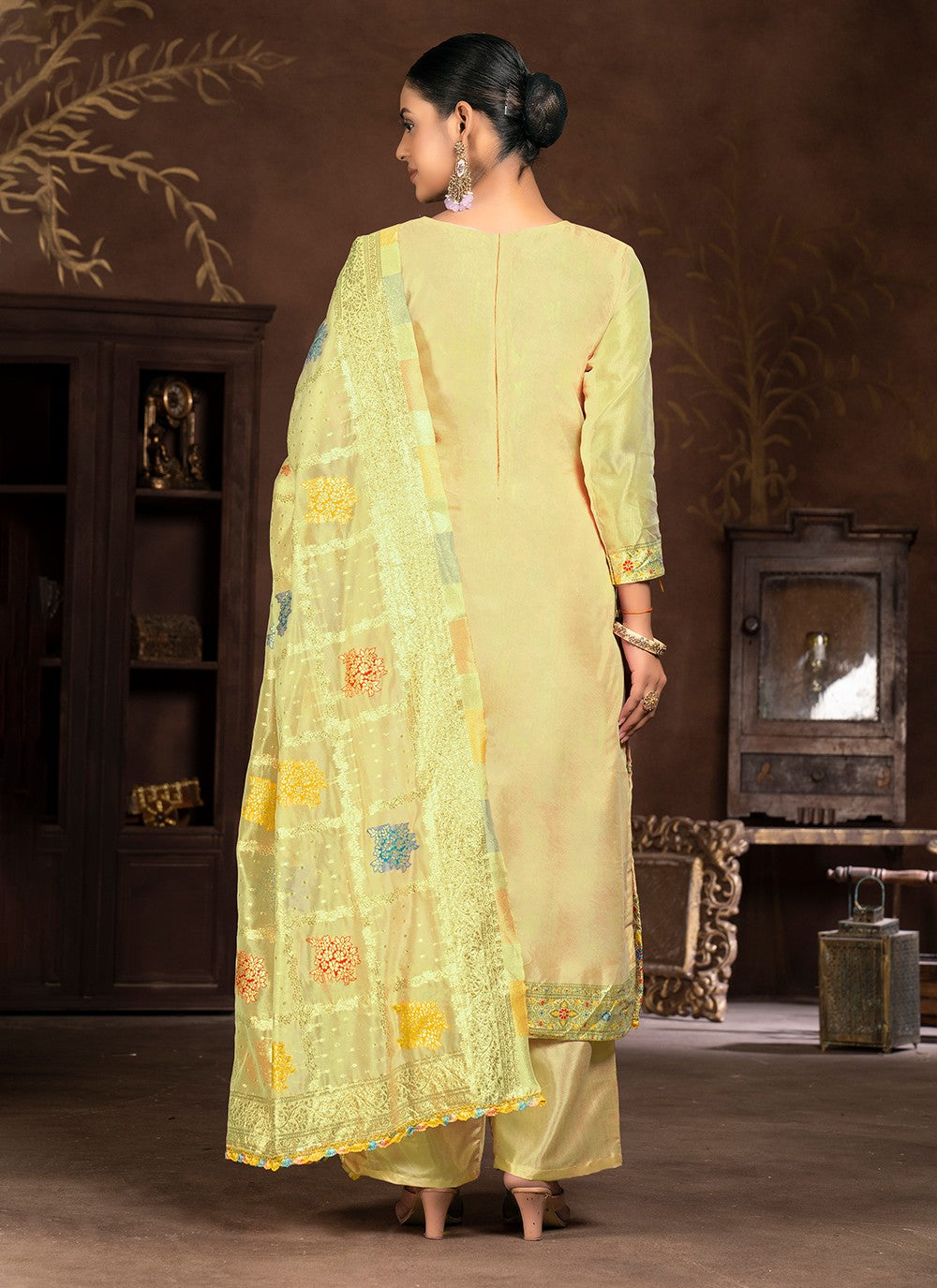 Organza Salwar Suit - T1985