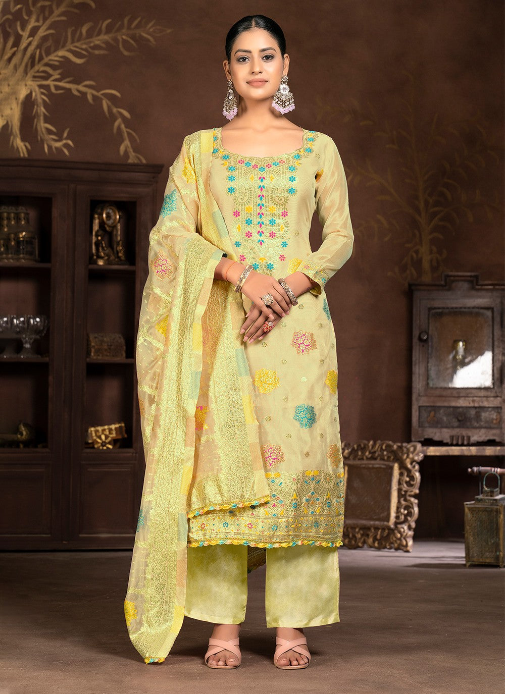 Organza Salwar Suit - T1985