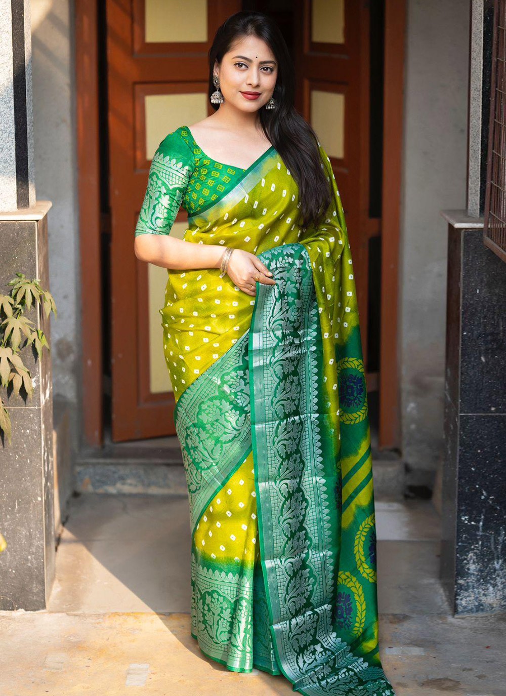 Classic Printed Cotton , Crepe Silk Saree - S5825