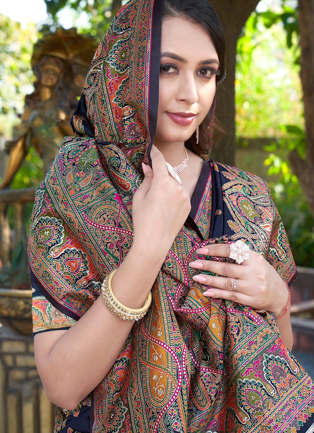 Kashmiri Pashmina Saree - S11995