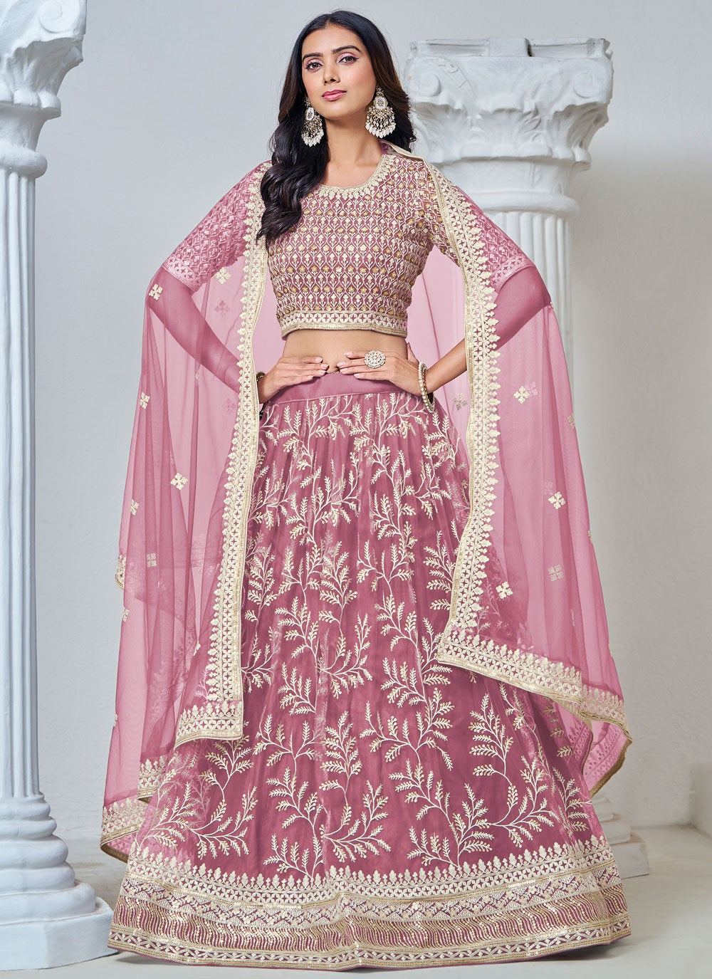 Embroidered Net Lehenga - L3031