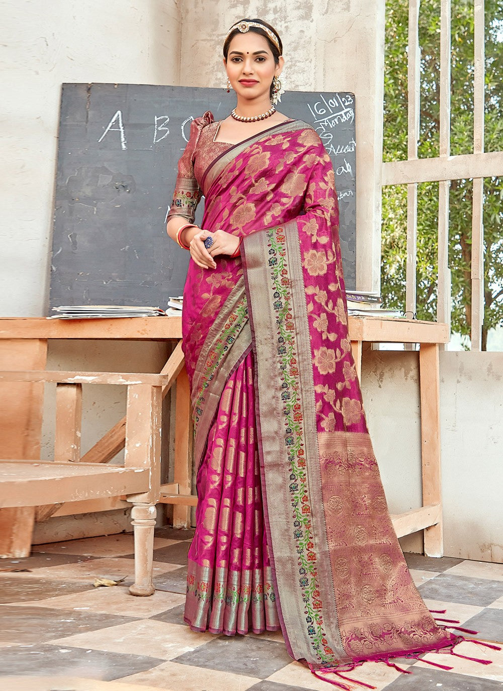 Traditional Embroidered Organza Saree - S2692