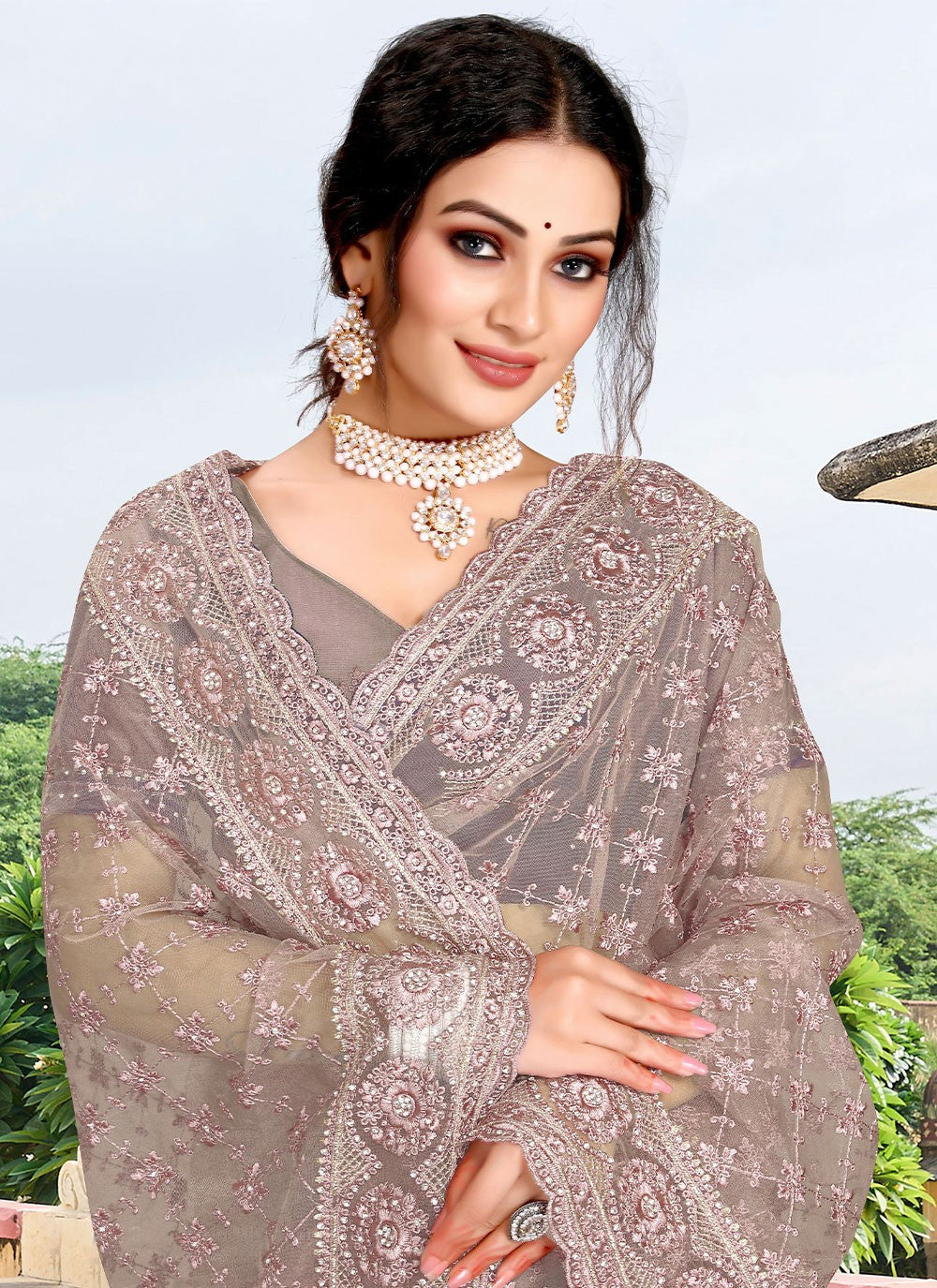 Classic Diamond Net Saree - S2403