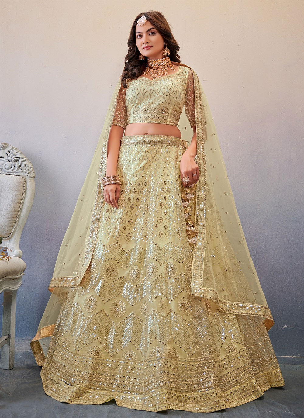 Embroidered Net A - Line Lehenga - L0836