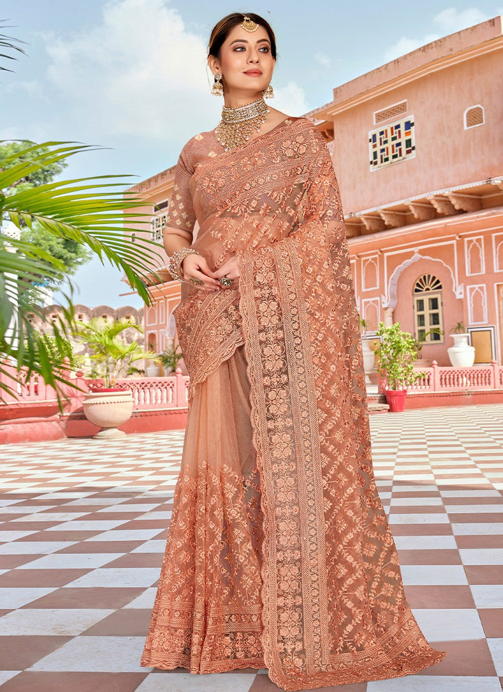 Trendy Embroidered Net Saree - S1760