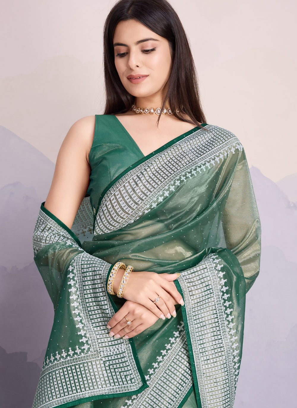 Classic Border Work Net Saree - S8339