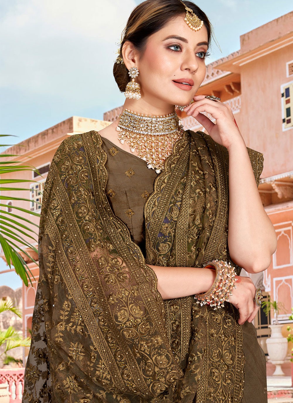 Trendy Embroidered Net Saree - S1760