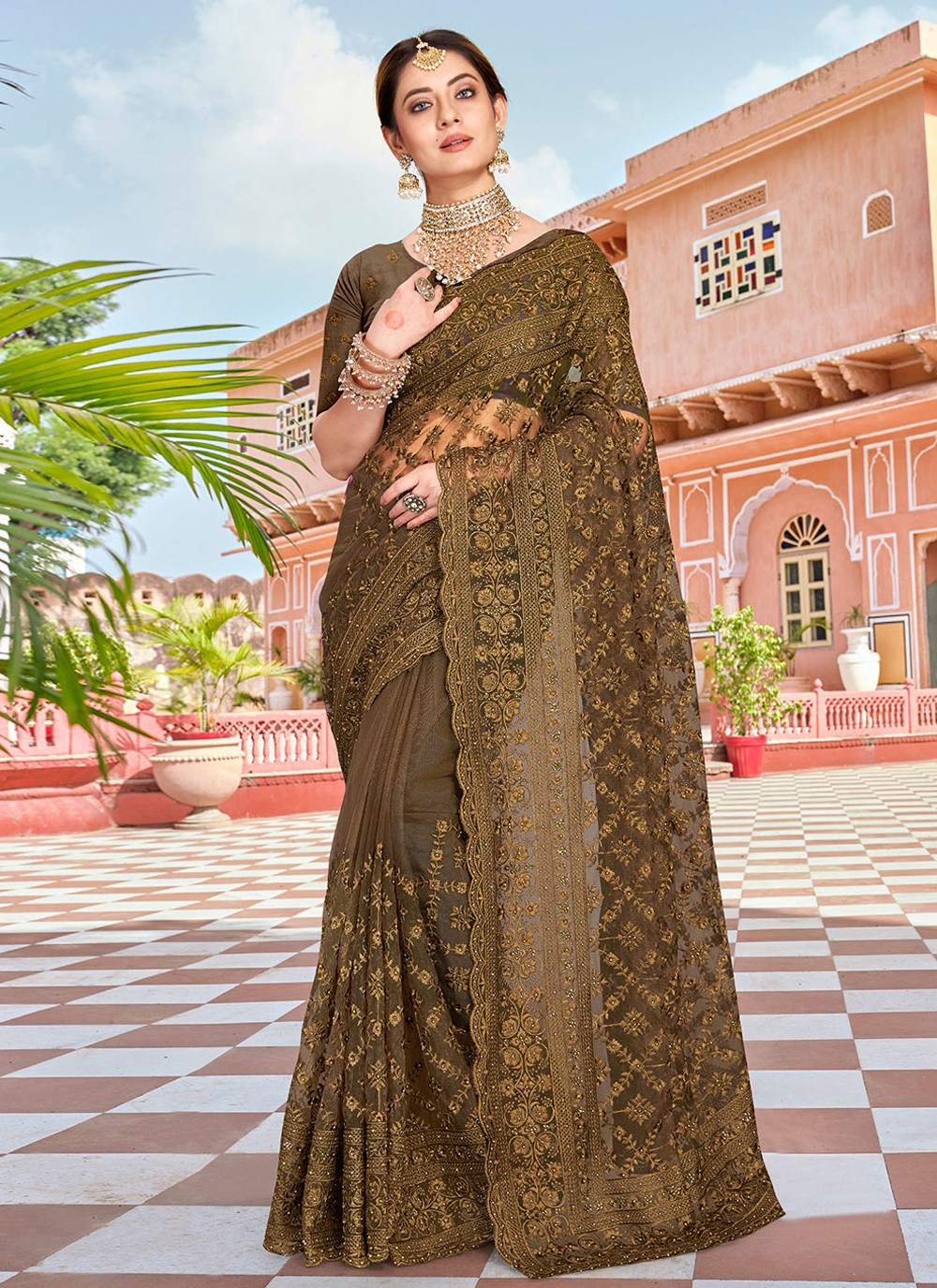 Trendy Embroidered Net Saree - S1760