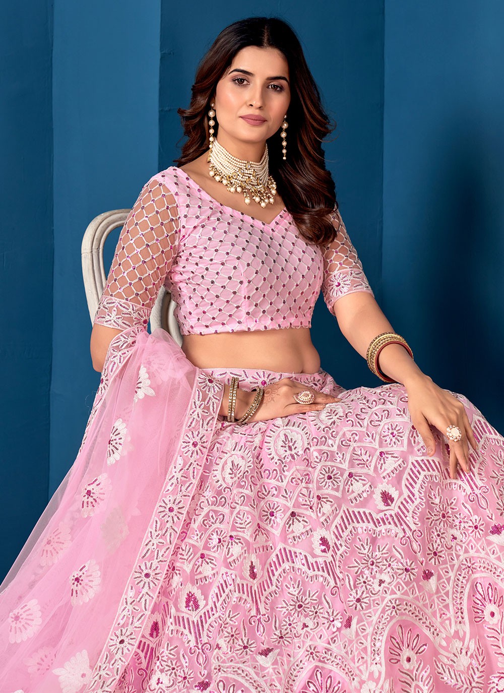 Embroidered Net A - Line Lehenga - L1393