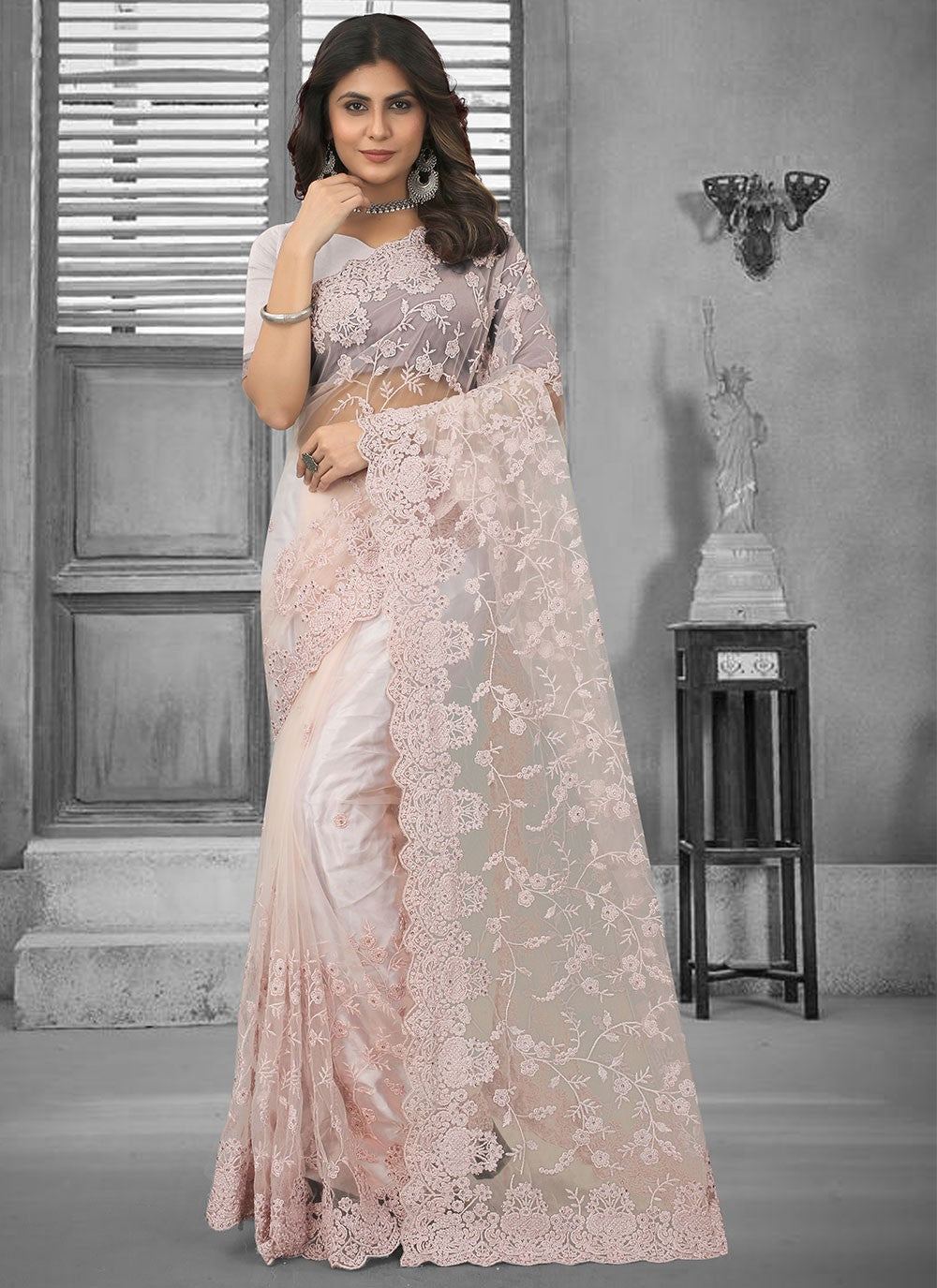 Classic Embroidered Net Saree - S3106