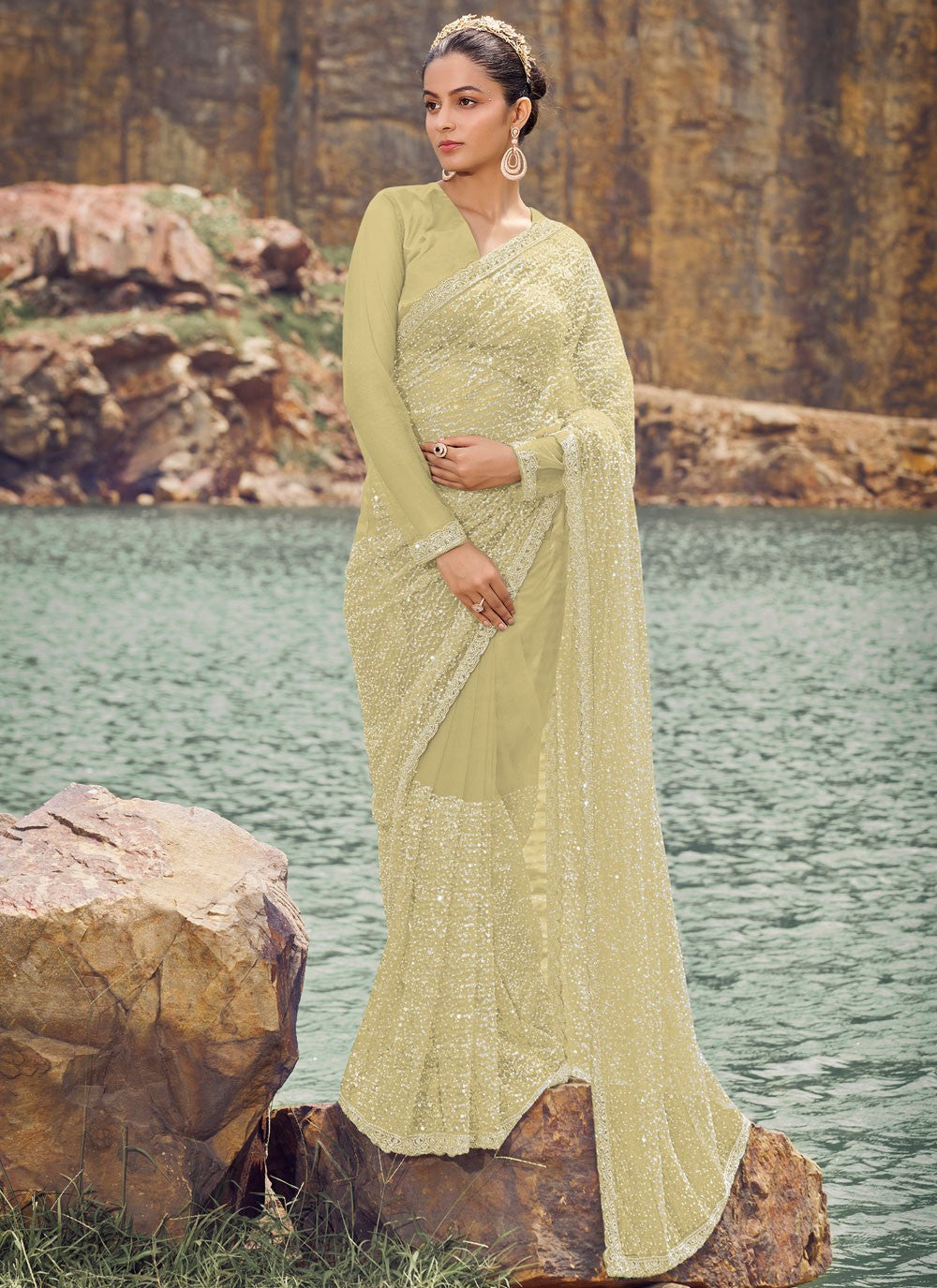 Classic Embroidered Net Saree - S8200