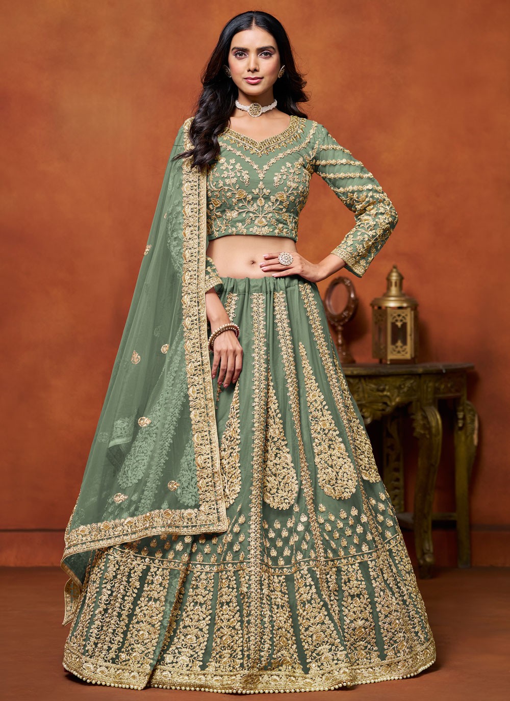 Embroidered Net A - Line Lehenga - L2773