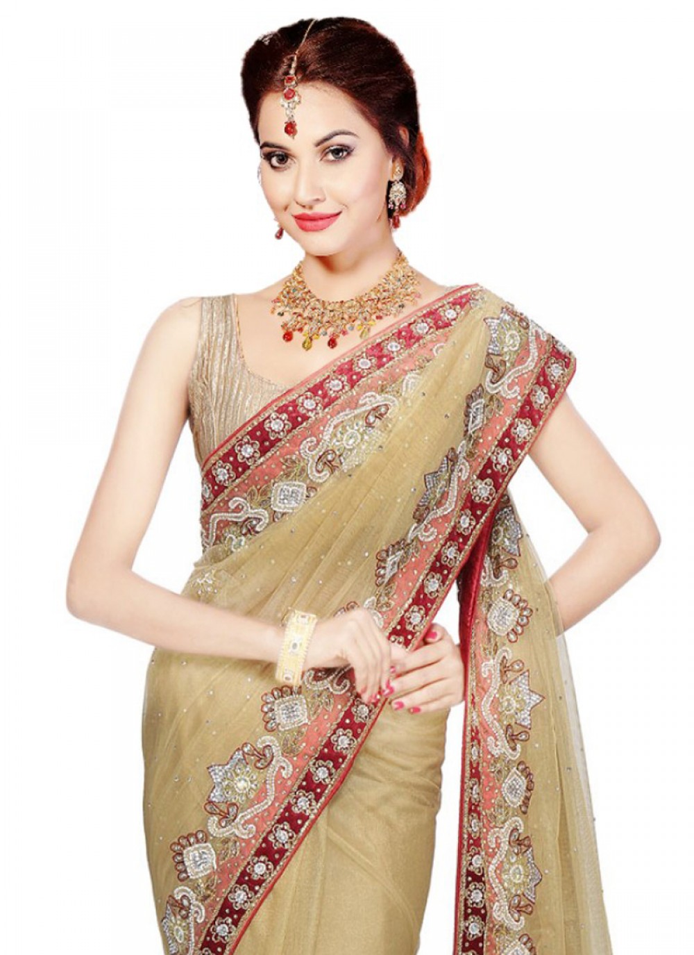 Classic Cutdana Net Saree - S1746