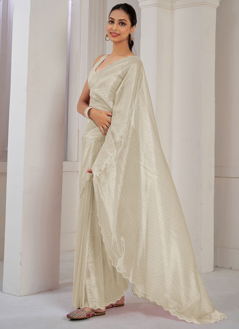 Classic Cutdana Net, Organza Saree - S10606